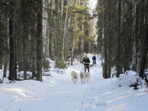 24707_10100142124288705_12432612_54970362_5427213_n