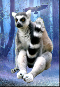 “Mikey-san, when the student is ready, the Hasselhoff will appear.” -- Lemur Master, Mike’s Spirit Guide