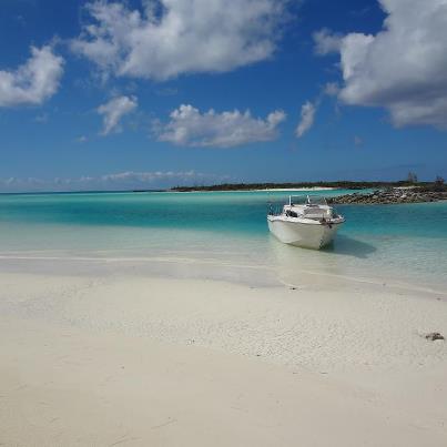 29021_10151308317185617_1332646422_n