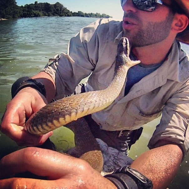 1238041_528519027223776_1621991396_n